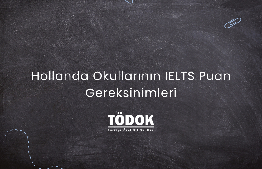 Hollanda Okullarının IELTS Puan Gereksinimleri